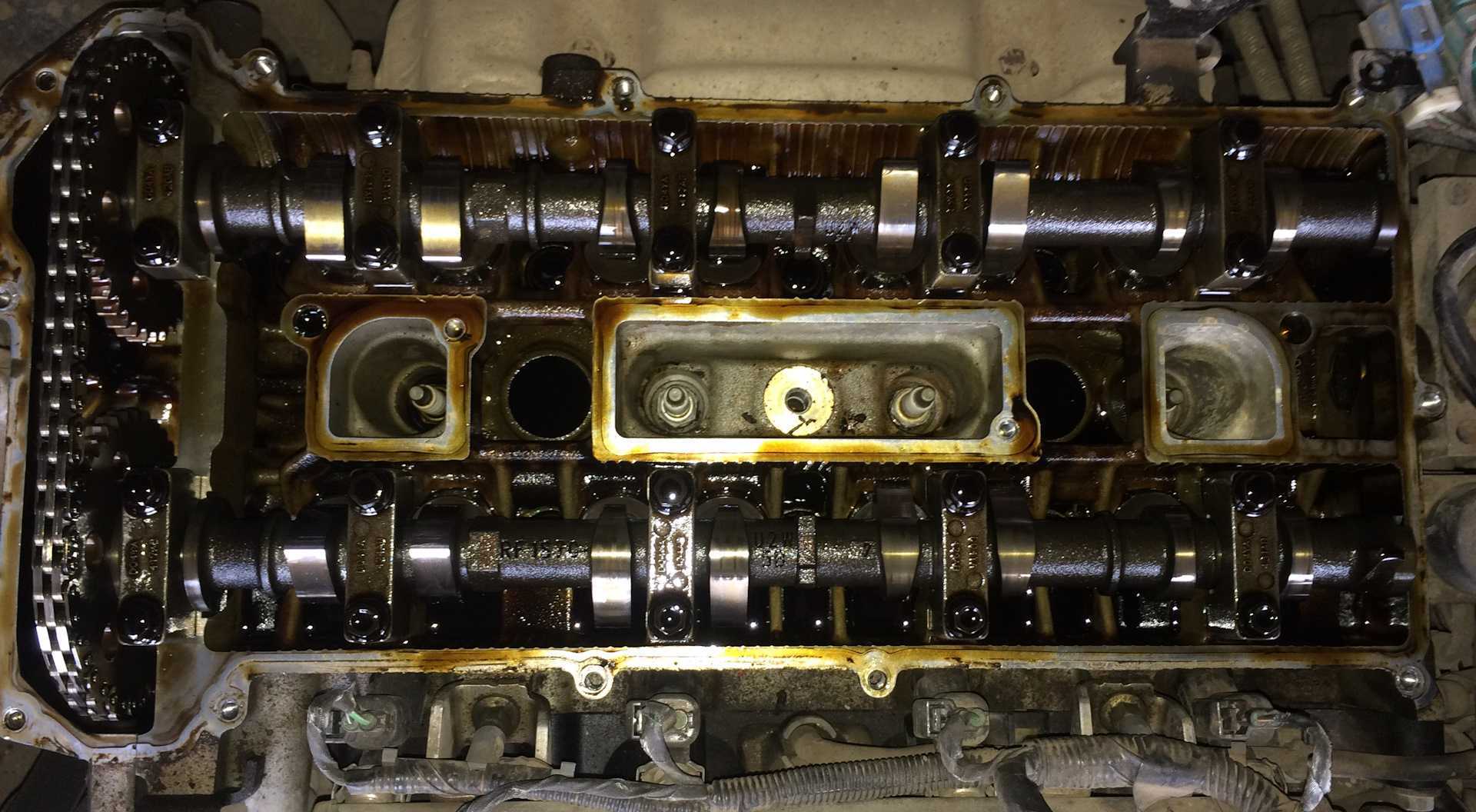 2.1.8. ford focus ii. замена прокладки головки блока цилиндров — «важно всем» - автотранспортный портал